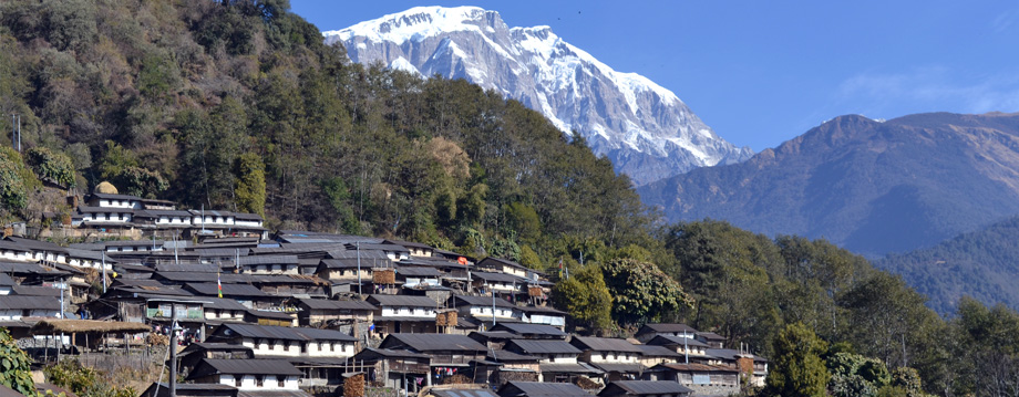 Himalayan Sustainable Future Foundation