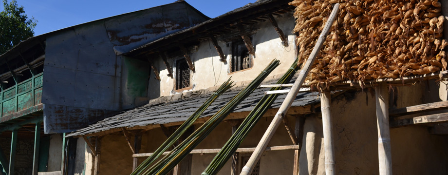 Himalayan Sustainable Future Foundation