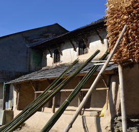 Himalayan Sustainable Future Foundation (HSFF)