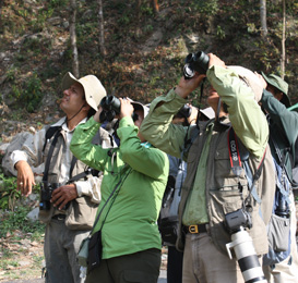 Himalayan Sustainable Future Foundation (HSFF)