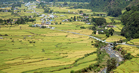 School of Sustainable Living